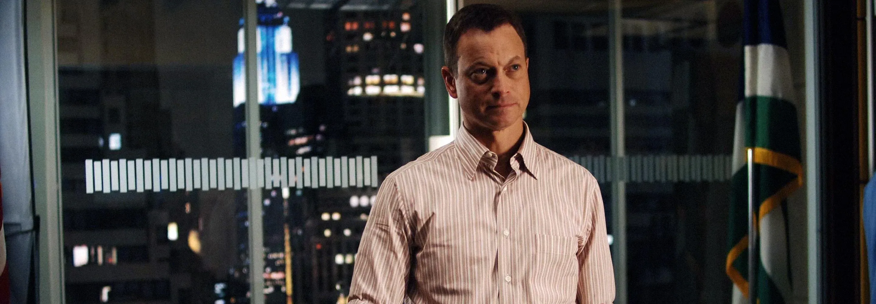 Gary Sinise as Detective Mac Taylor in CSI:NY